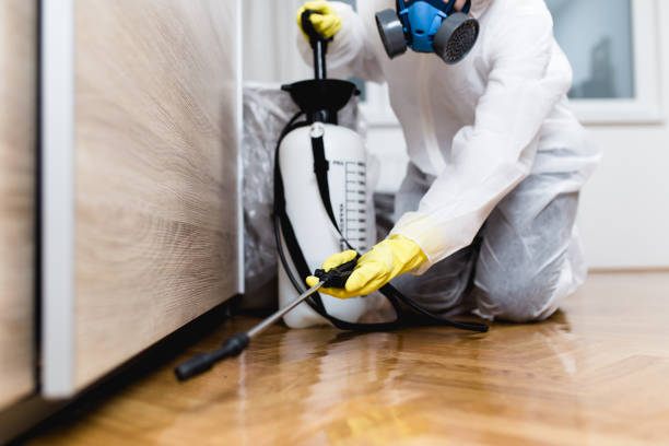 Insect Control in Galveston, IN