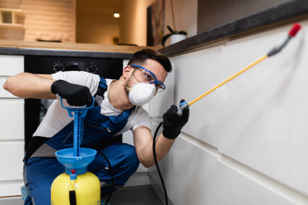 Best Affordable Pest Control Services  in Galveston, IN