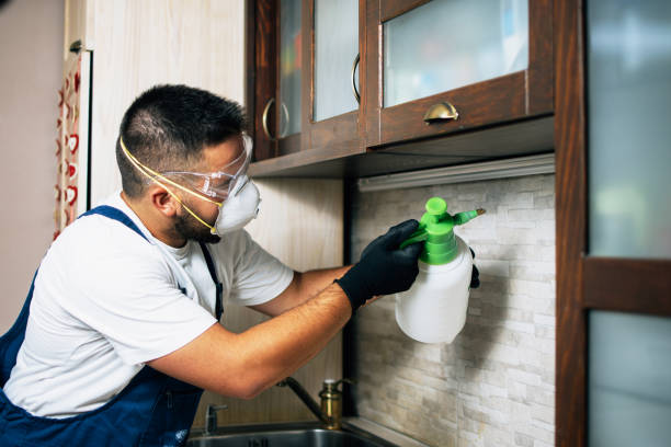 Best Wasp Removal Services  in Galveston, IN