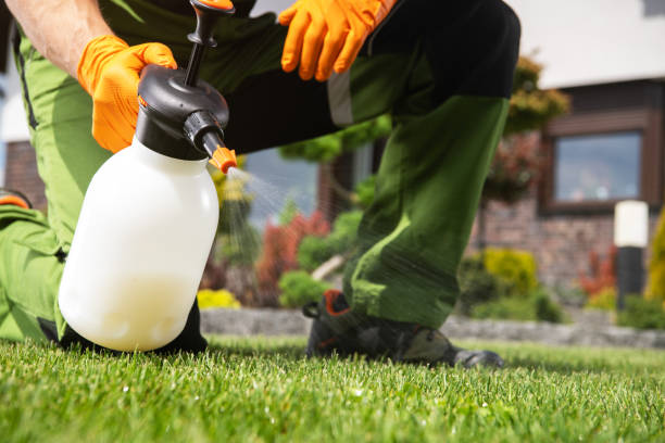 Best Pest Prevention Services  in Galveston, IN