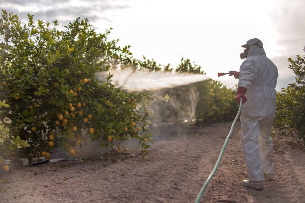 Best Pest Control Near Me  in Galveston, IN