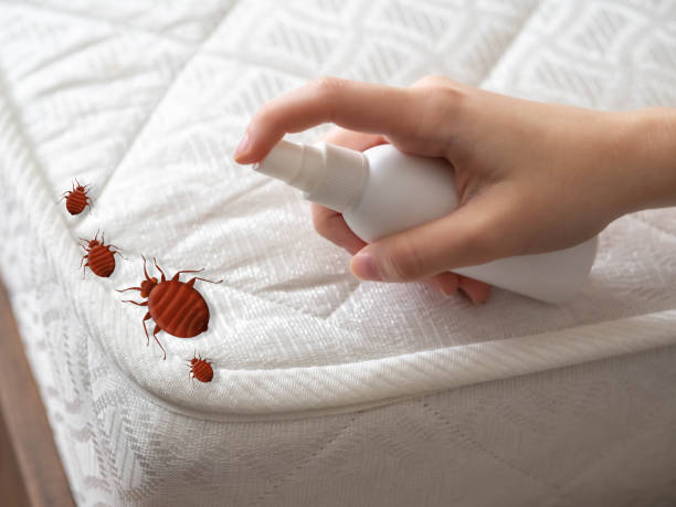Wasp Removal Services in Galveston, IN