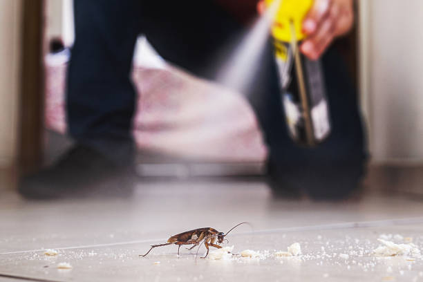 Reliable Galveston, IN Pest Control Solutions