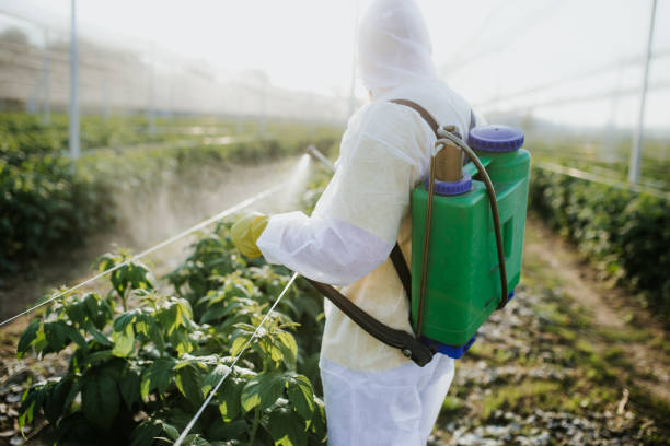 Best Termite Control Services  in Galveston, IN